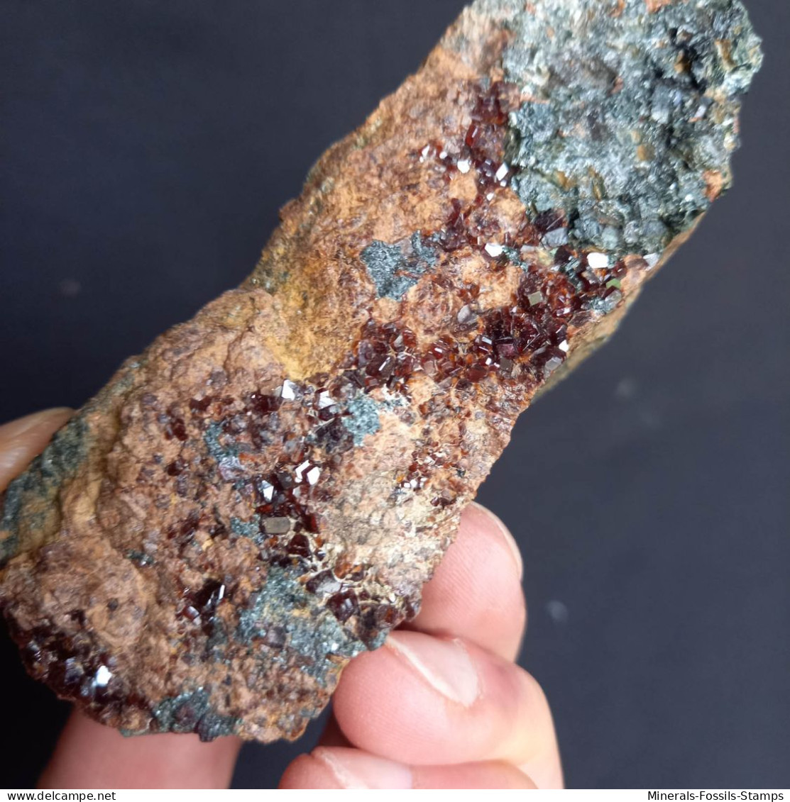 #D58 - Schöner Granat Var. HESSONIT XX (Valle Cava, Ligurien, Italien) - Minerals