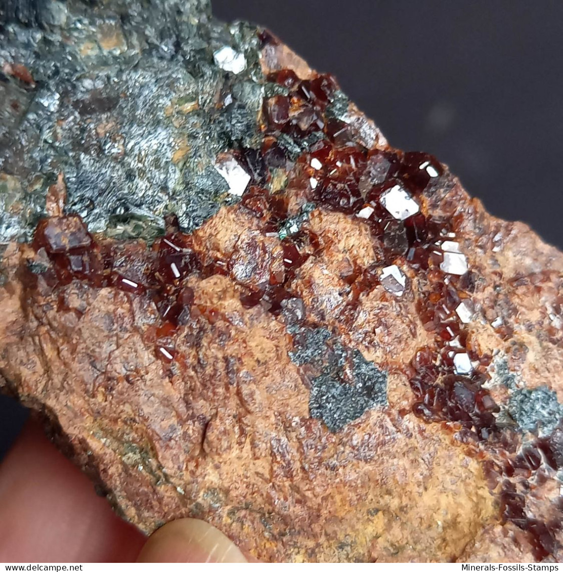#D58 - Schöner Granat Var. HESSONIT XX (Valle Cava, Ligurien, Italien) - Minerales