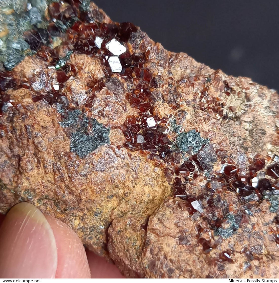 #D58 - Schöner Granat Var. HESSONIT XX (Valle Cava, Ligurien, Italien) - Mineralien