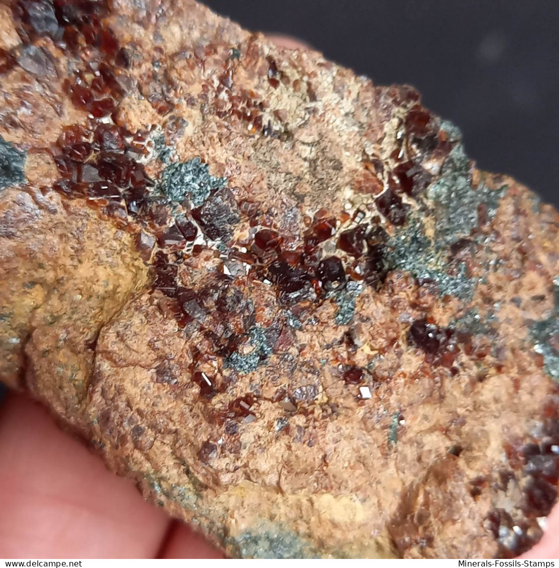 #D58 - Schöner Granat Var. HESSONIT XX (Valle Cava, Ligurien, Italien) - Mineralen