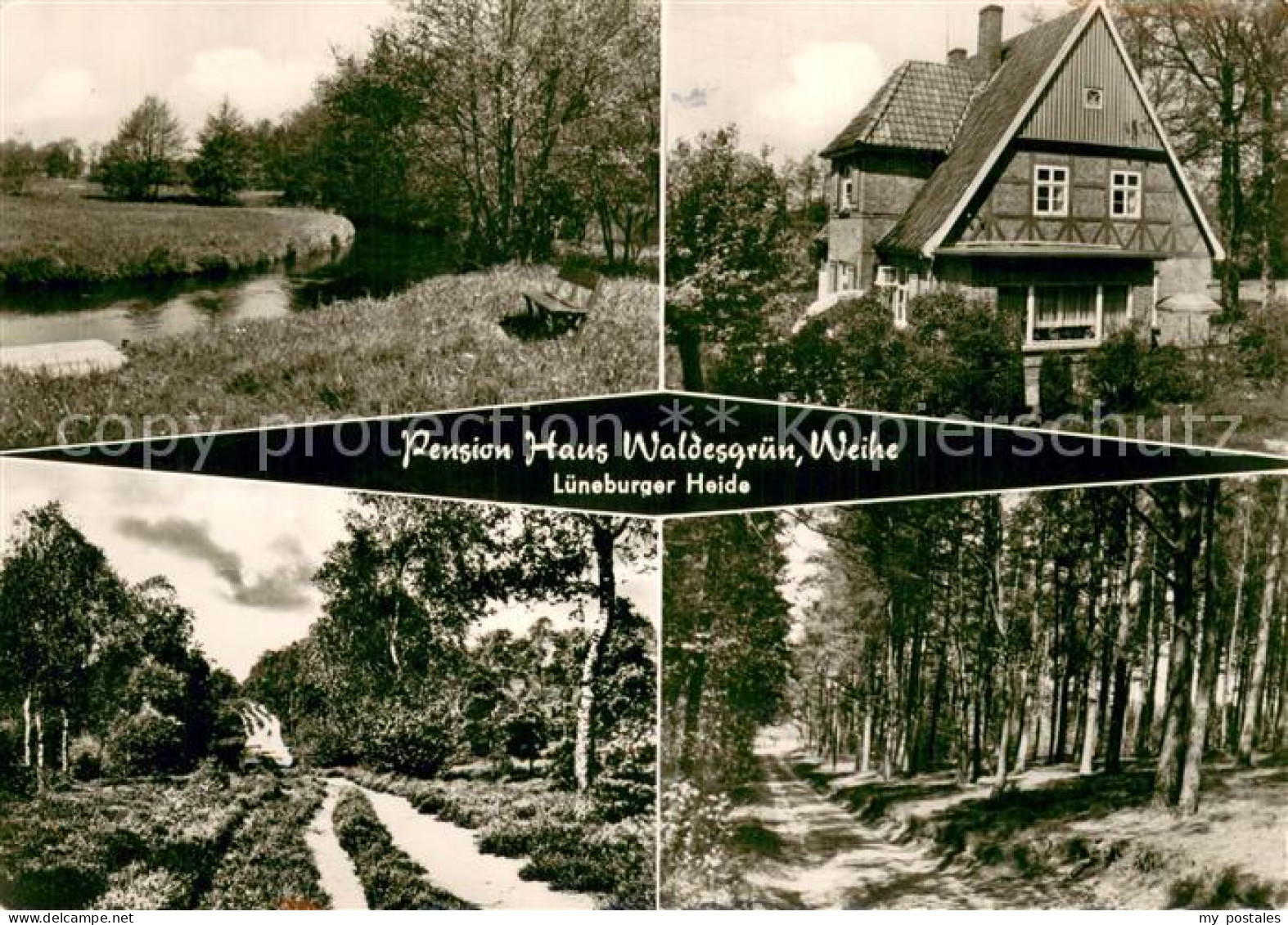 73751454 Weihe Pension Haus Waldesgruen Lueneburger Heidelandschaften Weihe - Other & Unclassified