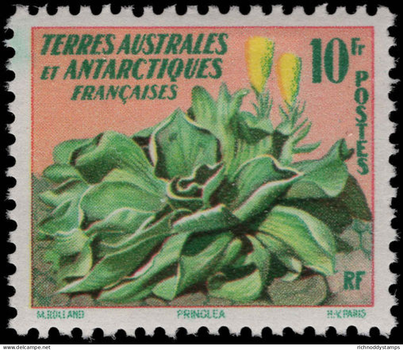 FSAT 1959 Pringlea Unmounted Mint. - Ongebruikt