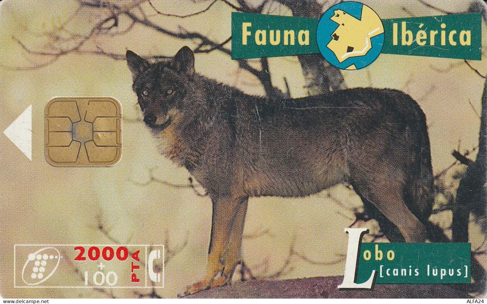 PHONE CARD SPAGNA FAUNA IBERICA (CZ1943 - Basisausgaben
