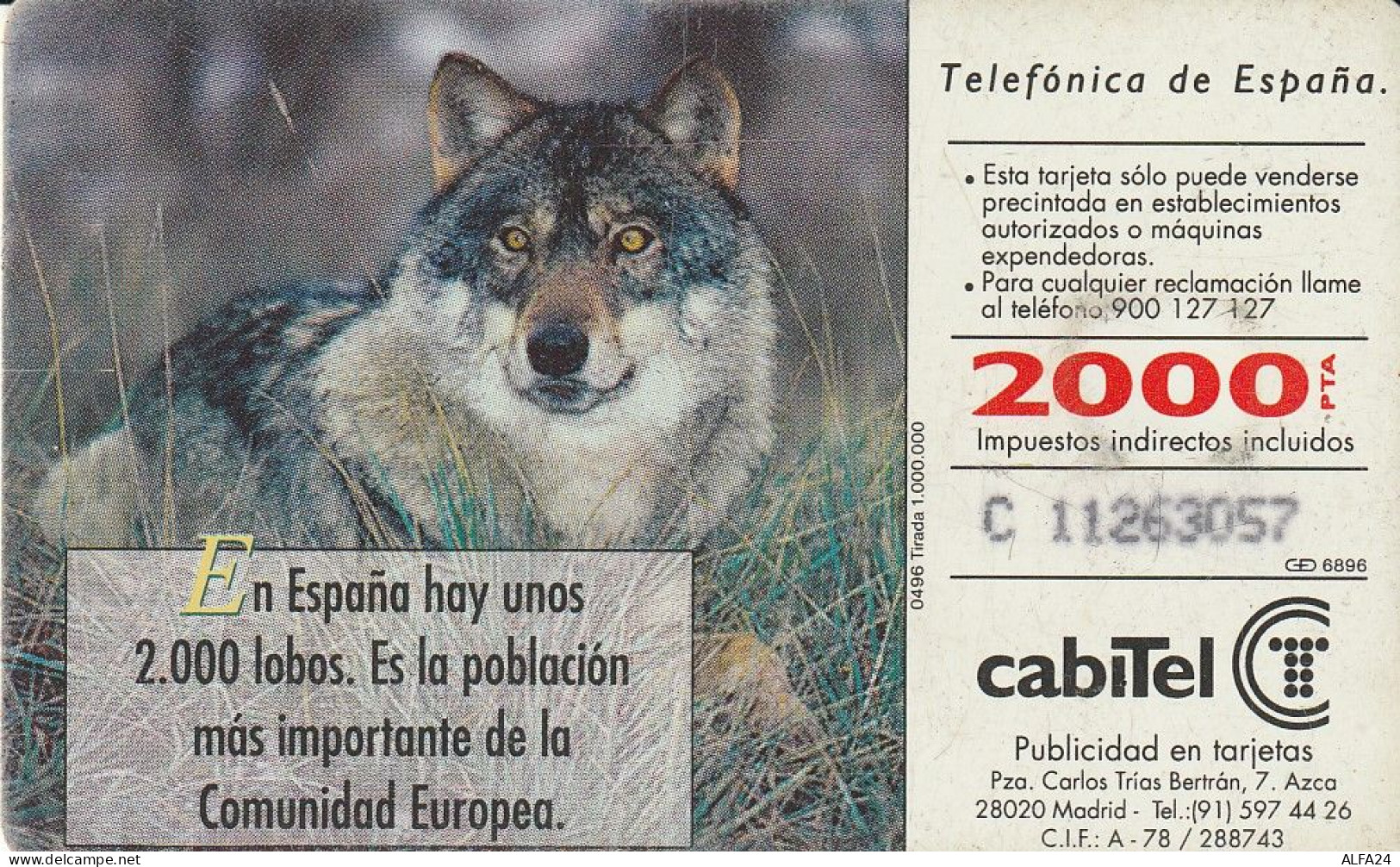 PHONE CARD SPAGNA FAUNA IBERICA (CZ1943 - Basisuitgaven