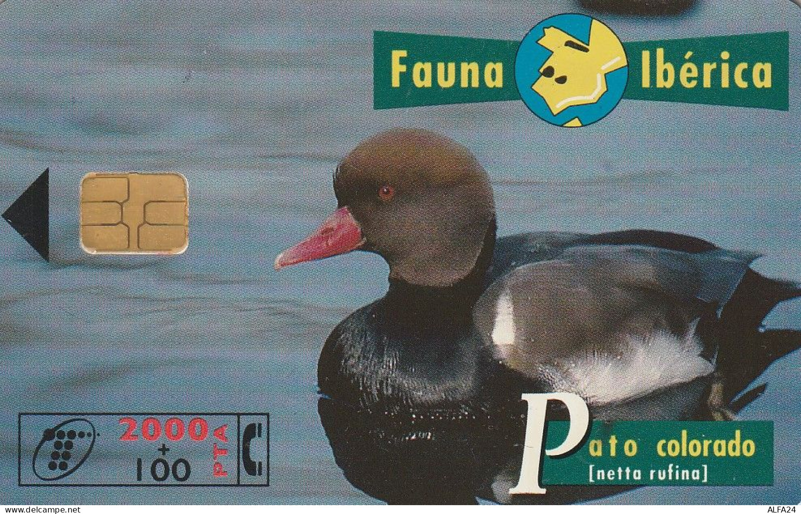 PHONE CARD SPAGNA FAUNA IBERICA (CZ1920 - Basisausgaben