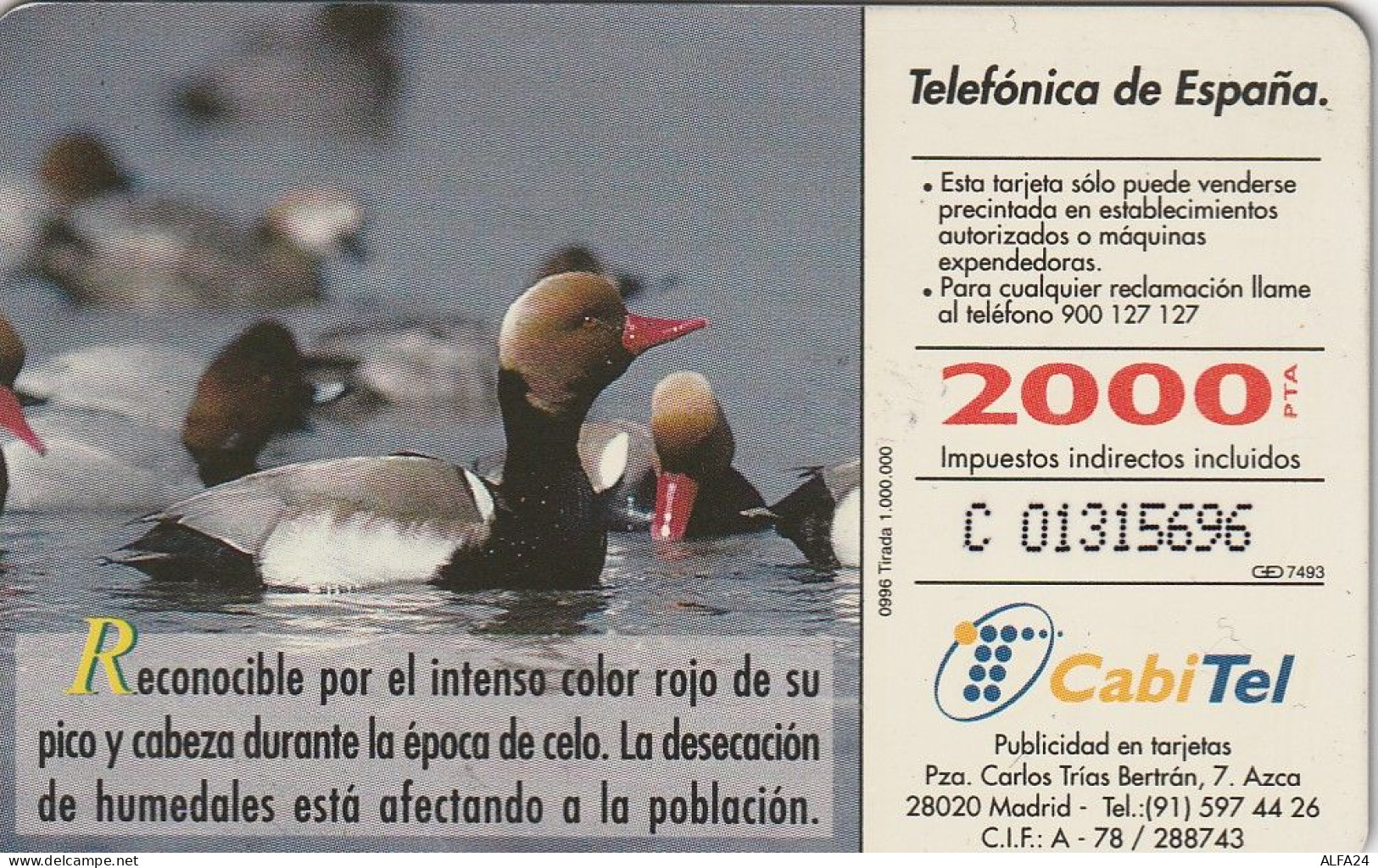 PHONE CARD SPAGNA FAUNA IBERICA (CZ1920 - Basisausgaben