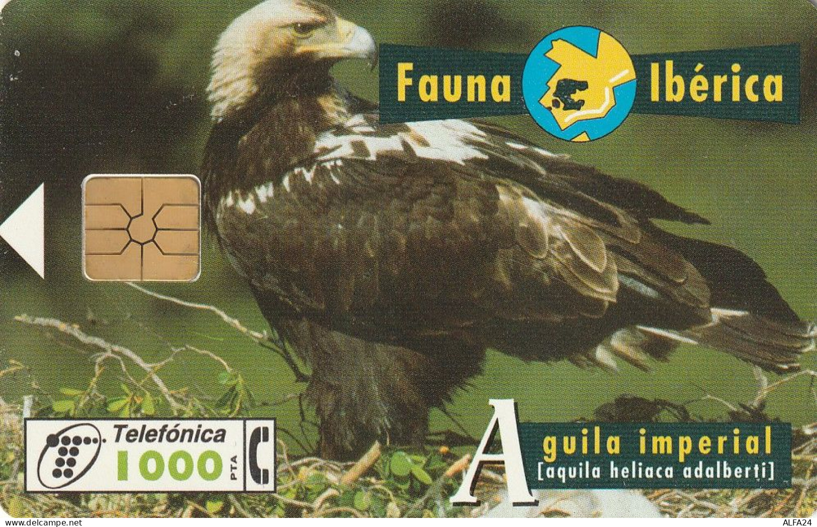 PHONE CARD SPAGNA FAUNA IBERICA (CZ1923 - Emisiones Básicas