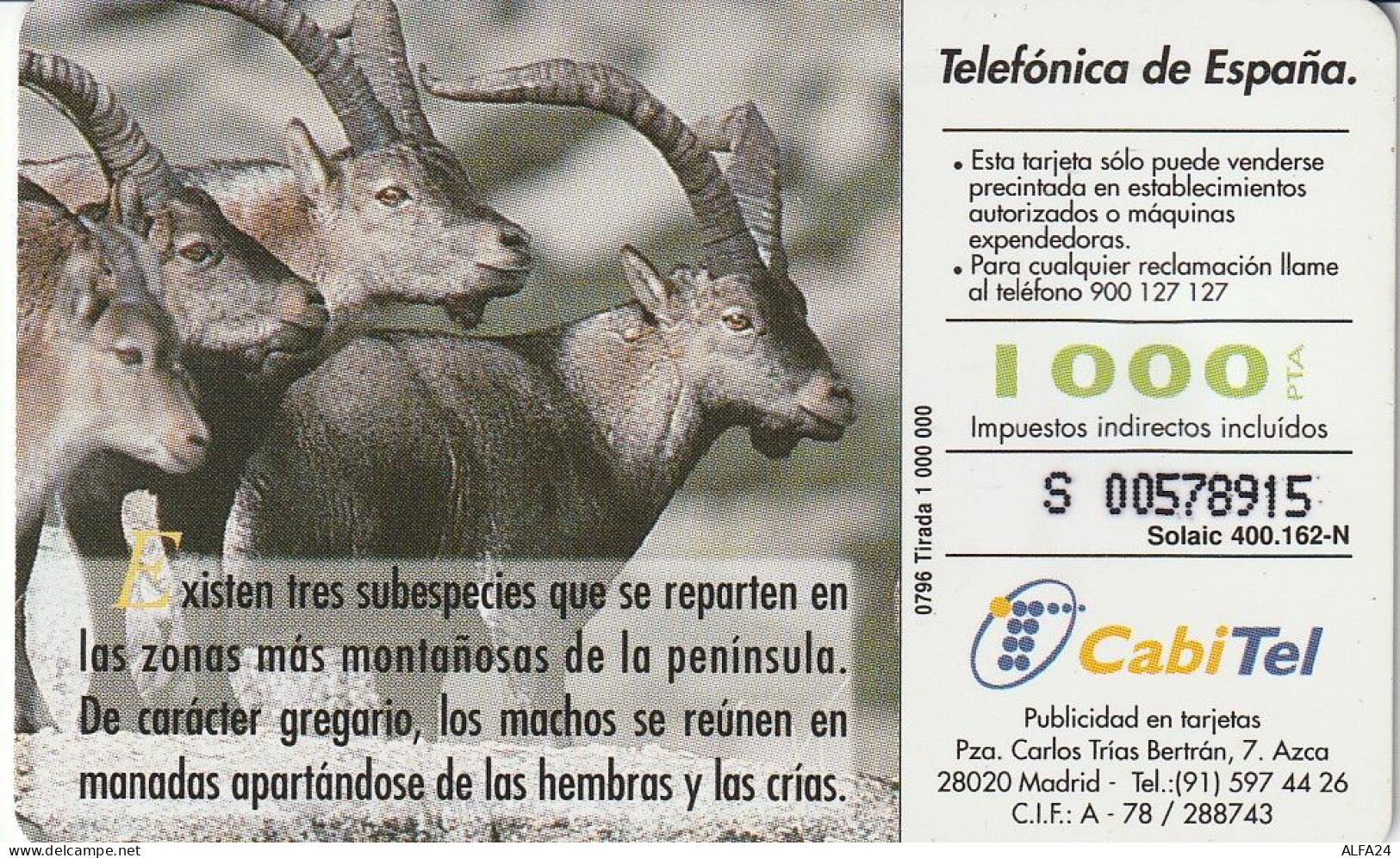 PHONE CARD SPAGNA FAUNA IBERICA (CZ1919 - Emissioni Di Base