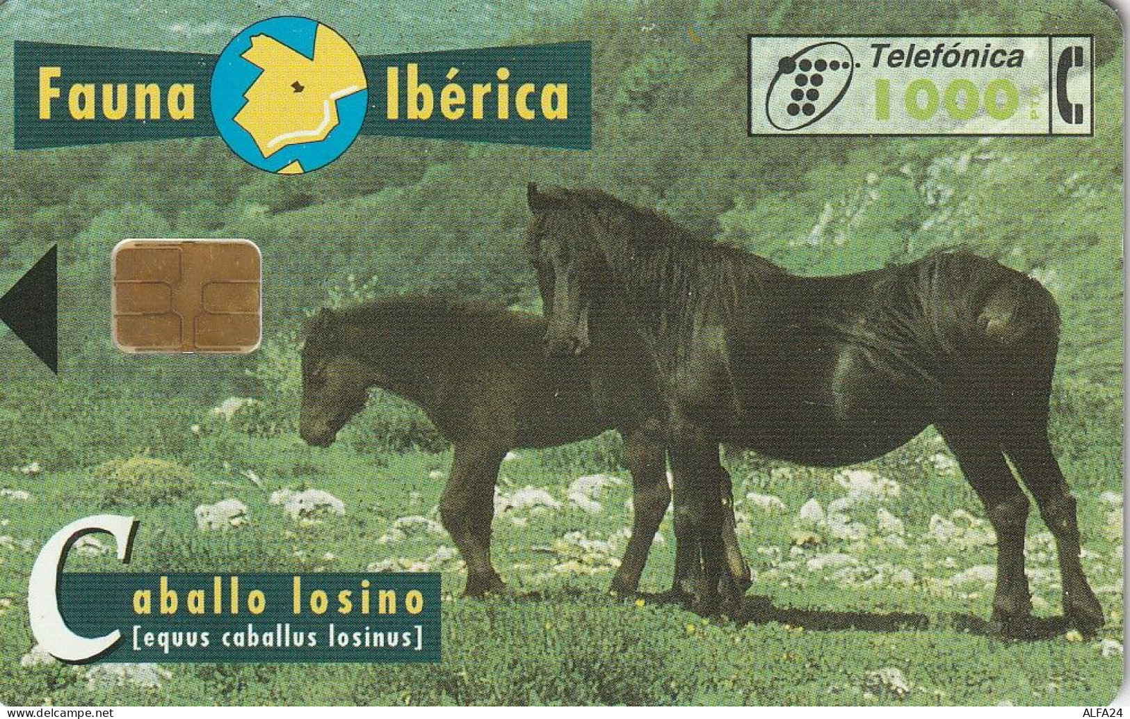 PHONE CARD SPAGNA FAUNA IBERICA (CZ1922 - Emisiones Básicas