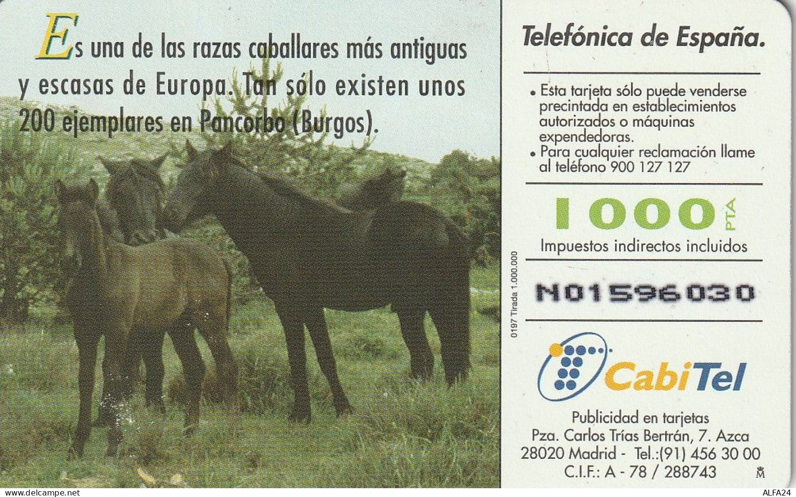 PHONE CARD SPAGNA FAUNA IBERICA (CZ1922 - Emissioni Di Base
