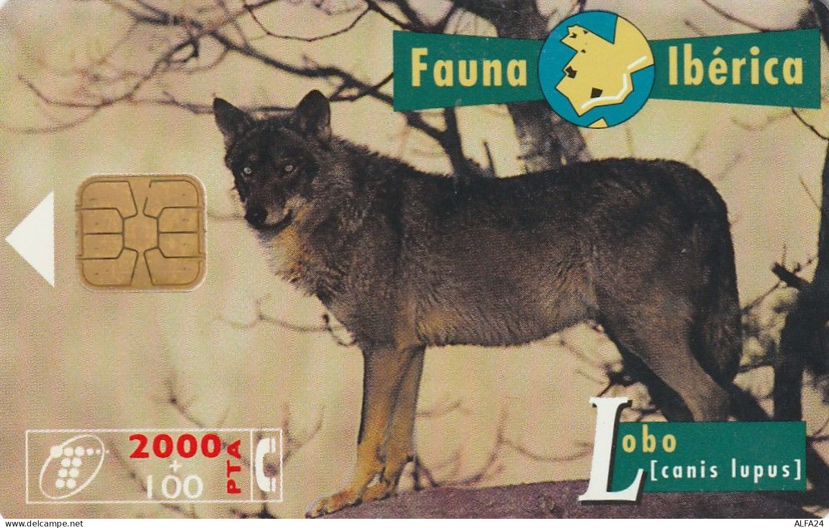 PHONE CARD SPAGNA FAUNA IBERICA (CZ1921 - Emissioni Di Base