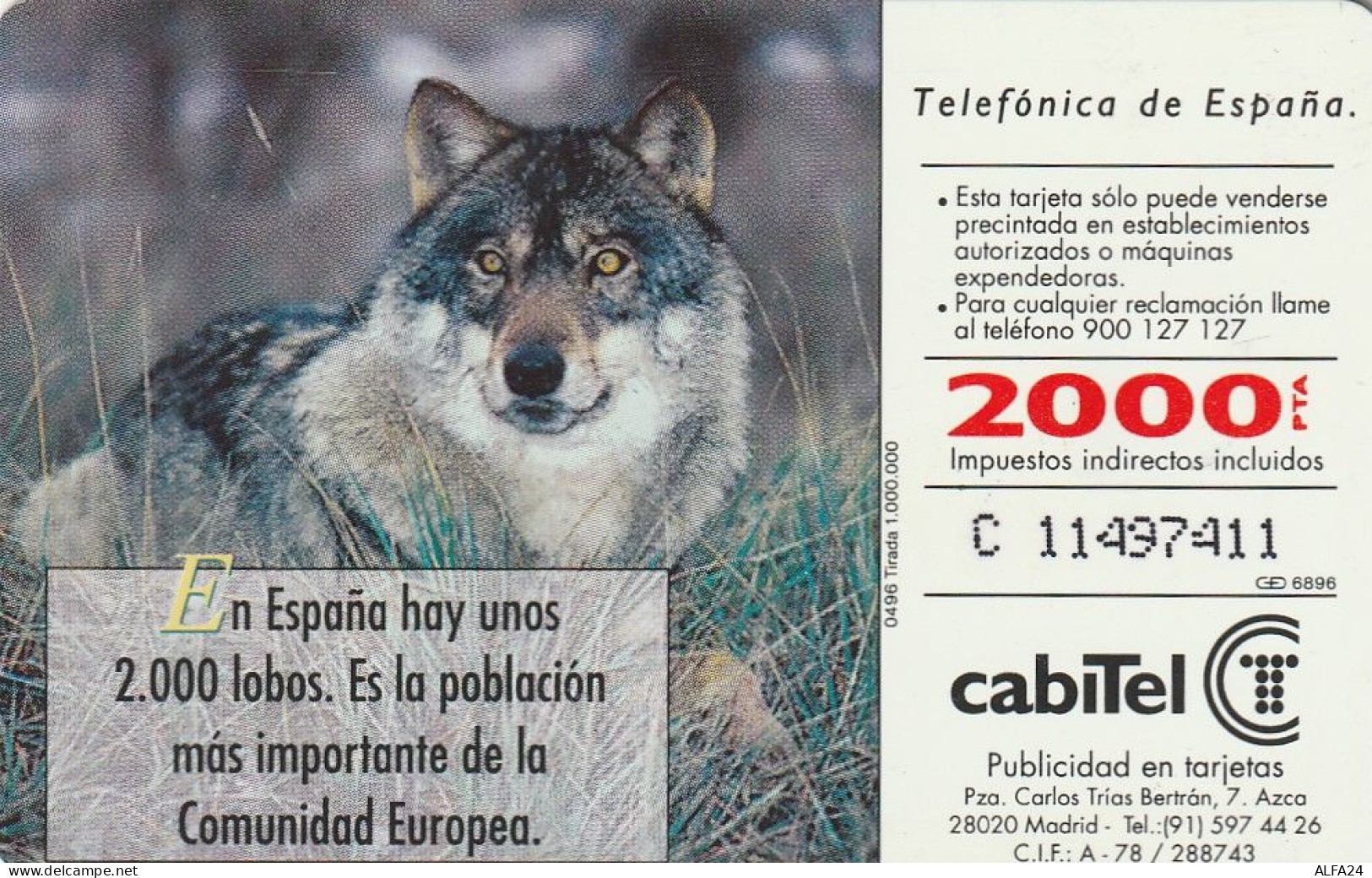 PHONE CARD SPAGNA FAUNA IBERICA (CZ1921 - Basisausgaben