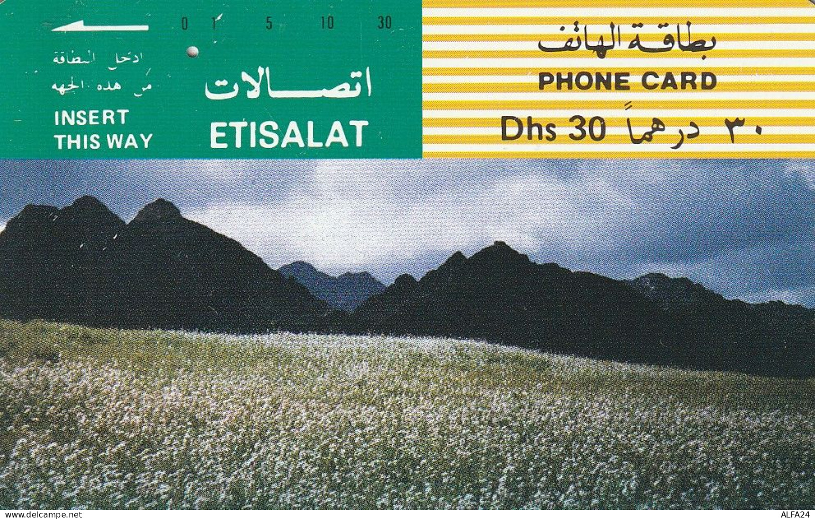 PHONE CARD EMIRATI ARABI  (CZ1912 - Emirati Arabi Uniti