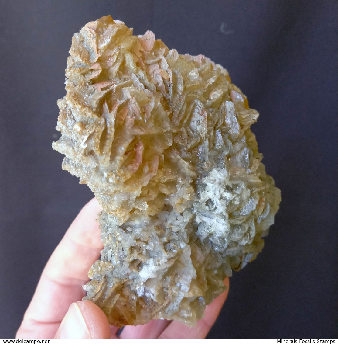 #F59 Schöne CALCIT Lamellenkristalle (Dalnegorsk, Primorskiy Kray, Russland) - Mineralien