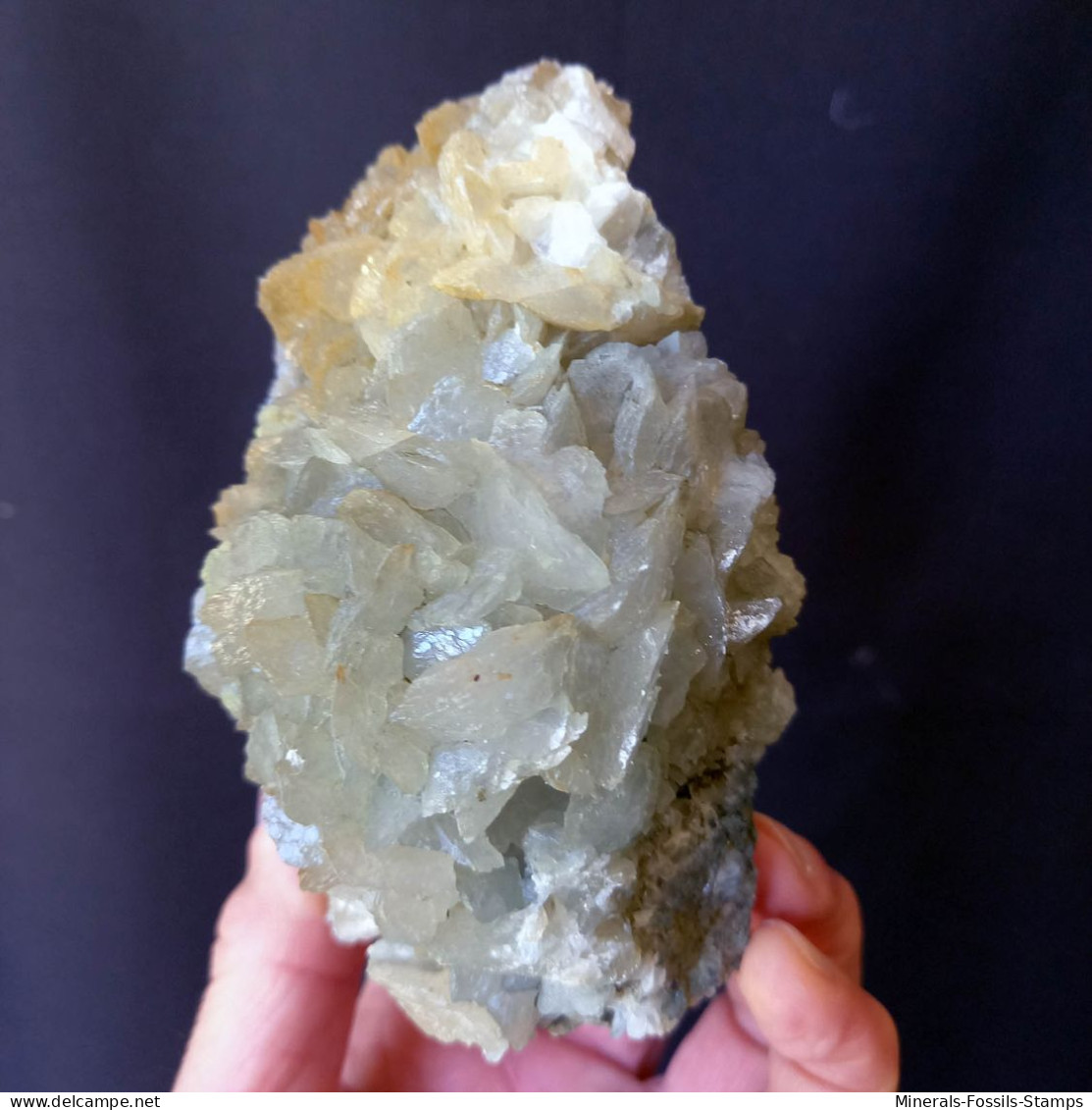 #F59 Schöne CALCIT Lamellenkristalle (Dalnegorsk, Primorskiy Kray, Russland) - Minéraux