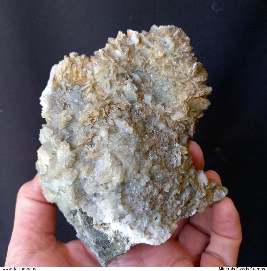 #F59 Schöne CALCIT Lamellenkristalle (Dalnegorsk, Primorskiy Kray, Russland) - Minerales