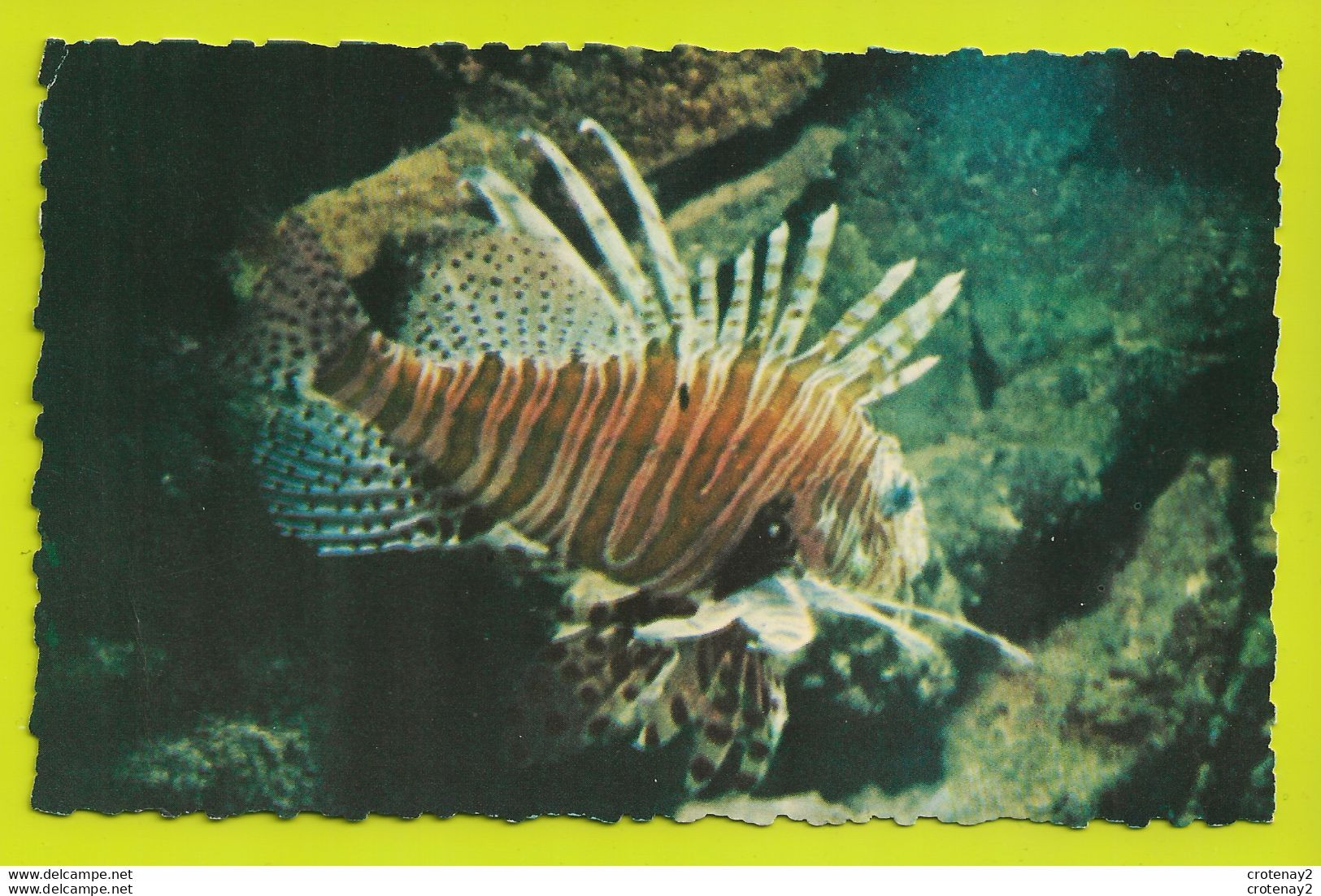 AQUARIUM Marin De Monaco N°9 Poisson La RASCASSE Volante édition ADIA - Pescados Y Crustáceos