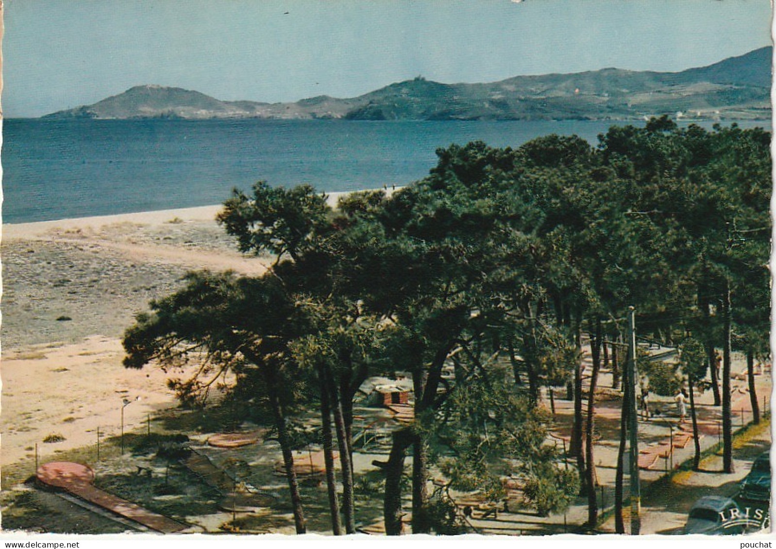 HO 16 - (66)ARGELES SUR MER - LES PINS , LA PLAGE , AU FOND LES ALBERES - CARTE COULEURS-  2 SCANS  - Argeles Sur Mer