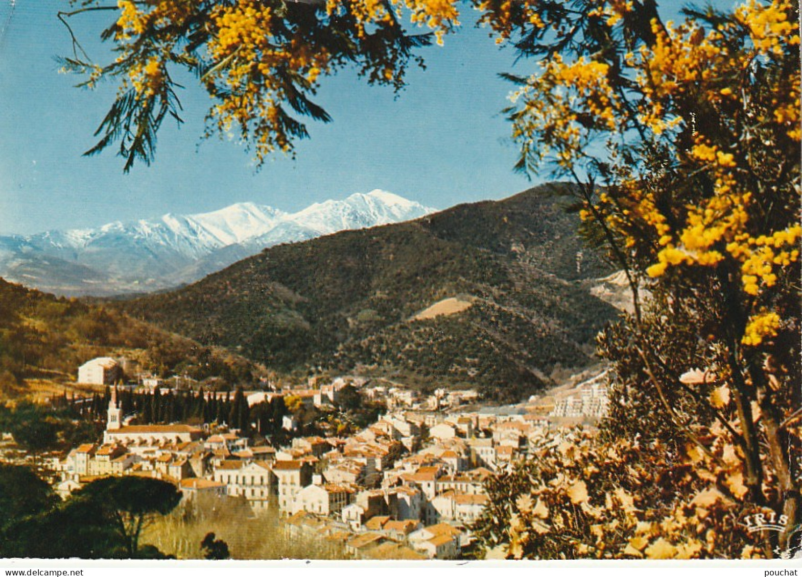 HO 16 - (66) AMELIE LES BAINS - VUE GENERALE ET LE CANIGOU  - CARTE COULEURS-  2 SCANS  - Autres & Non Classés