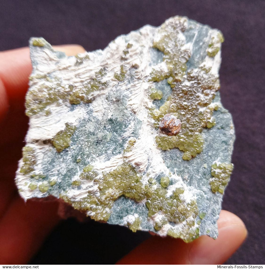 #L131 Andradit Granat Var. DEMANTOID Kristalle (Val Malenco, Sondrio, Italien) - Minerales