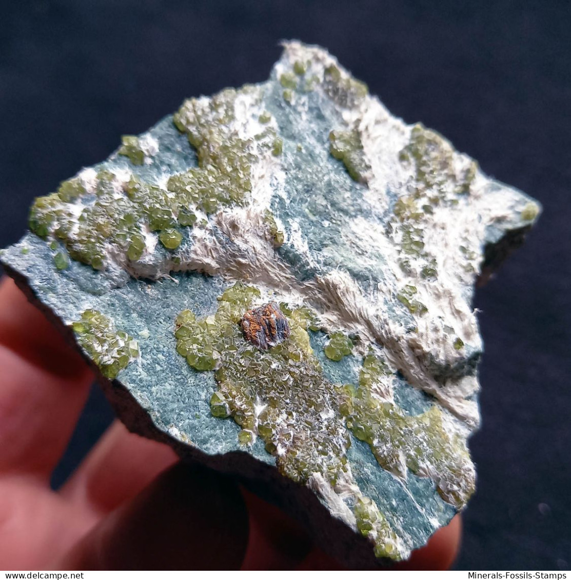 #L131 Andradit Granat Var. DEMANTOID Kristalle (Val Malenco, Sondrio, Italien) - Minerals