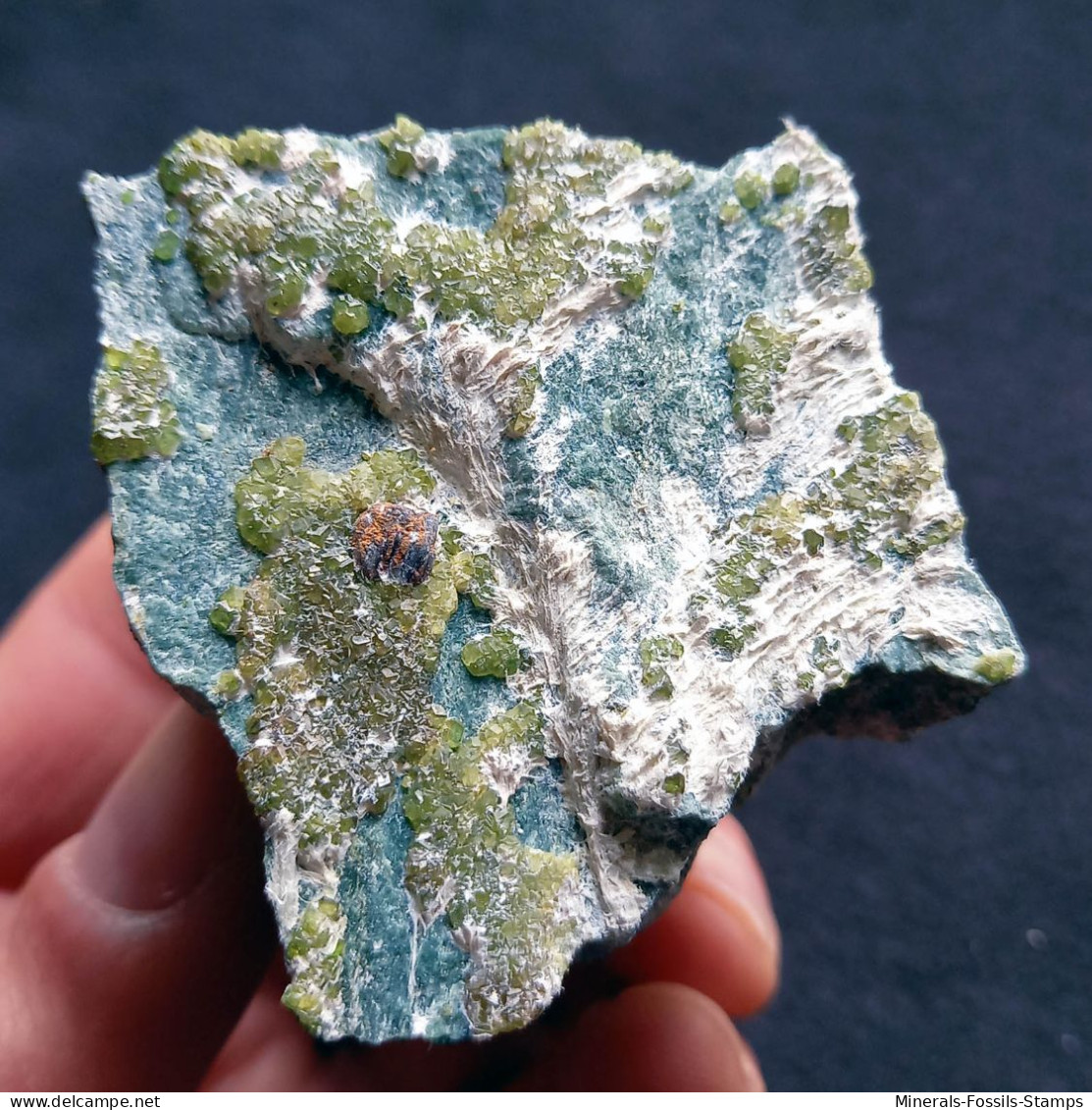 #L131 Andradit Granat Var. DEMANTOID Kristalle (Val Malenco, Sondrio, Italien) - Minerales