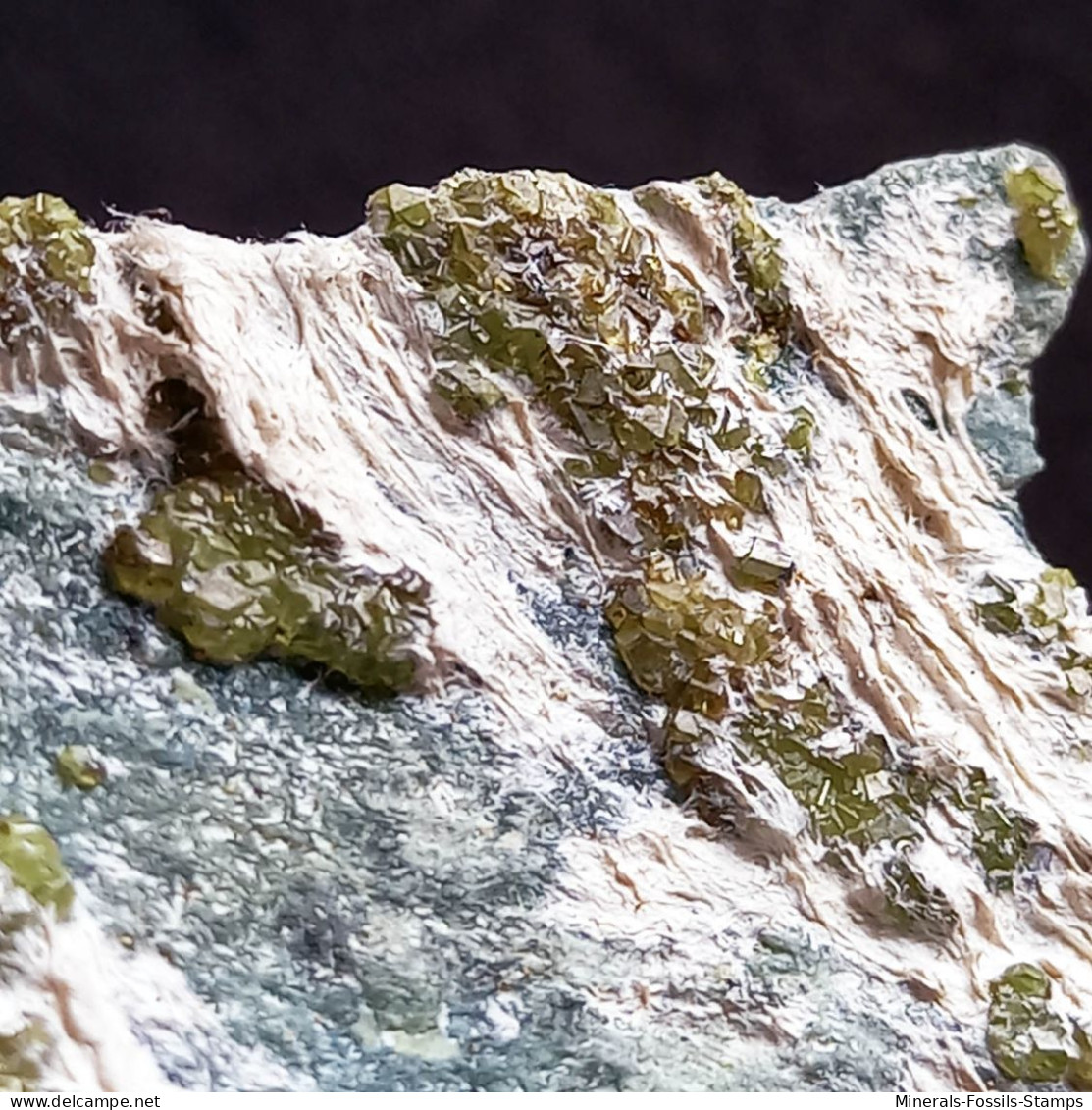 #L131 Andradit Granat var. DEMANTOID Kristalle (Val Malenco, Sondrio, Italien)