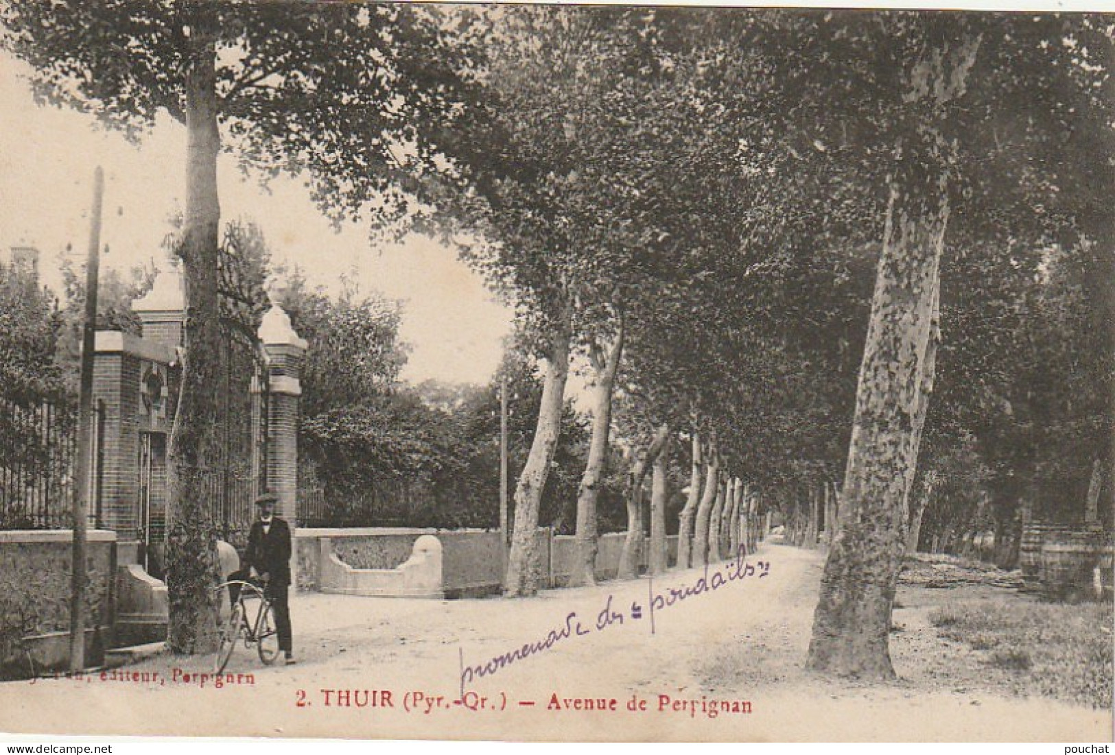 HO 21 -(66) THUIR  -  AVENUE DE PERPIGNAN    -  CYCLISTE  - 2 SCANS - Autres & Non Classés