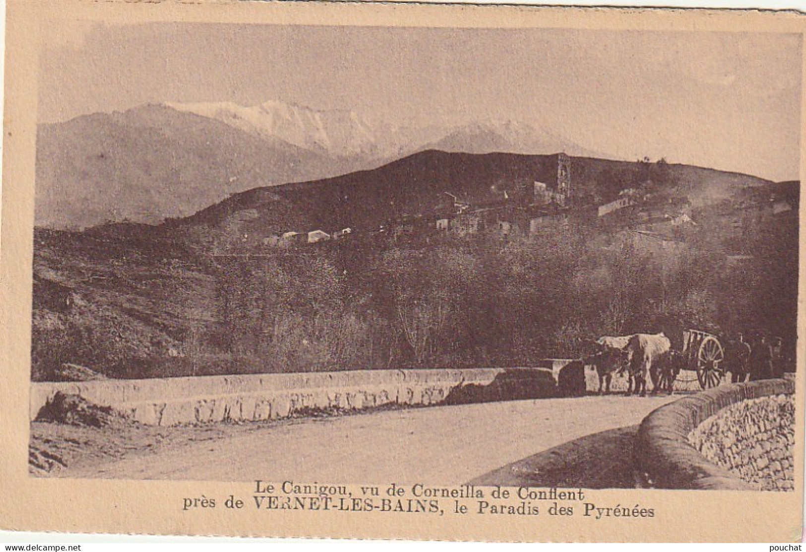 HO 21 -(66) LE CANIGOU , VU DE CORNEILLA DE CONFLENT PRES  DE VERNET LES BAINS - ATTELAGE DE BOEUFS- 2 SCANS - Otros & Sin Clasificación