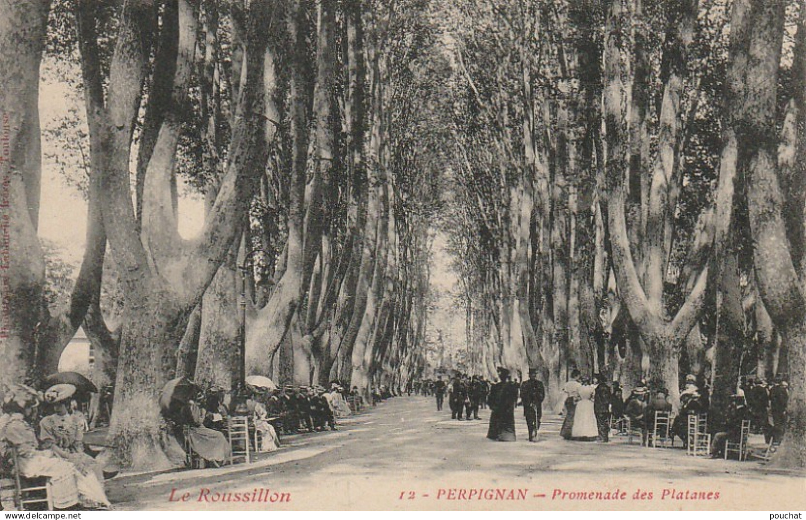 HO 21 - (66)  PERPIGNAN -  PROMENADE DES PLATANES  - 2 SCANS - Perpignan