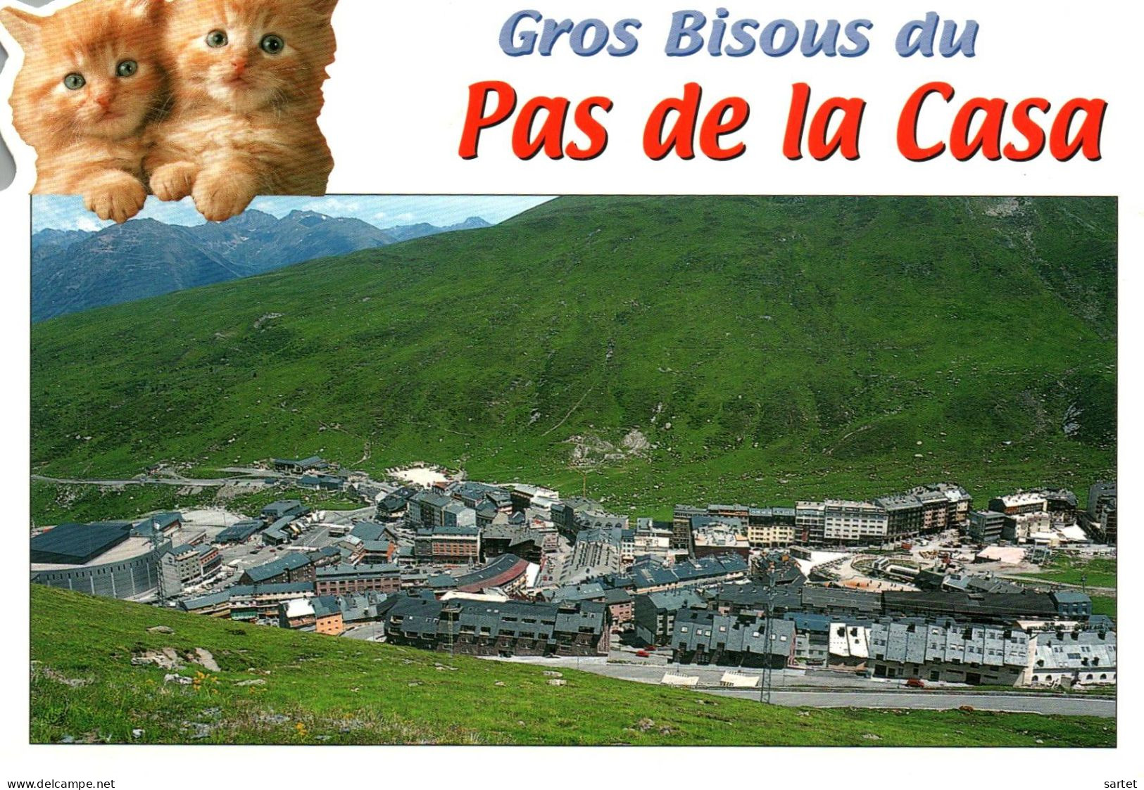 Gros Bisous Du Pas De La Casa Avec Chat - Andorre