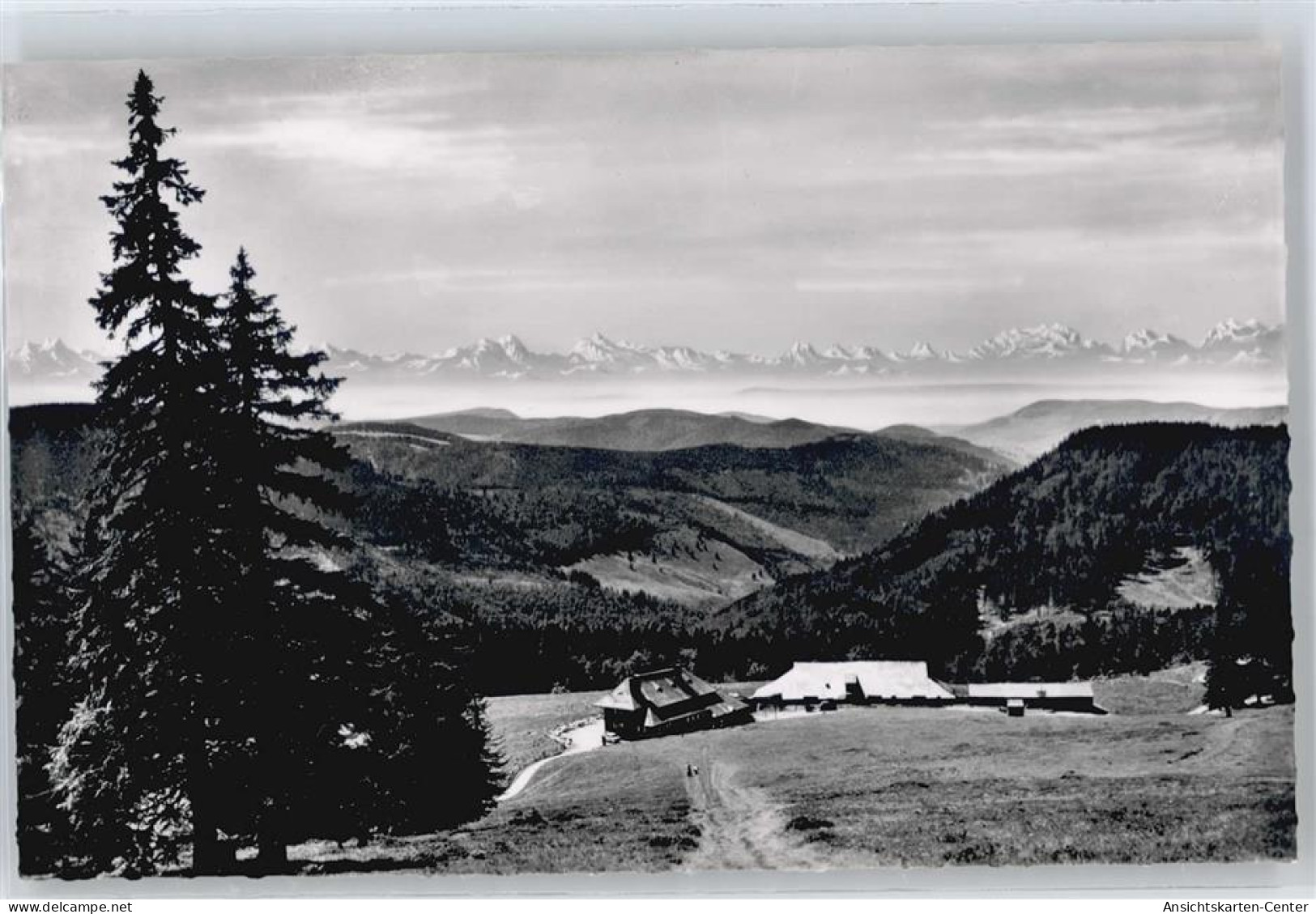 50436005 - Feldberg , Schwarzwald - Feldberg