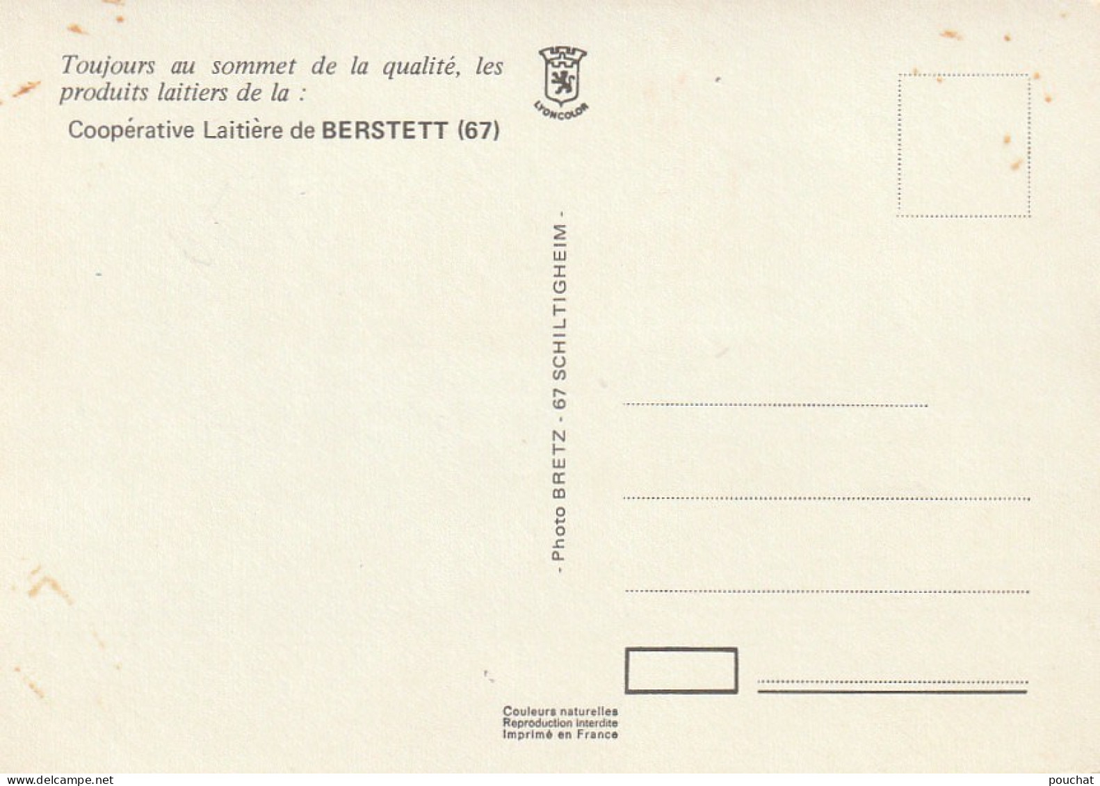 IN 1 - (67) BERSTETT -  COOPERATIVE LAITIERE  - LOCAUX - CARTE COULEURS  - 2 SCANS - Other & Unclassified