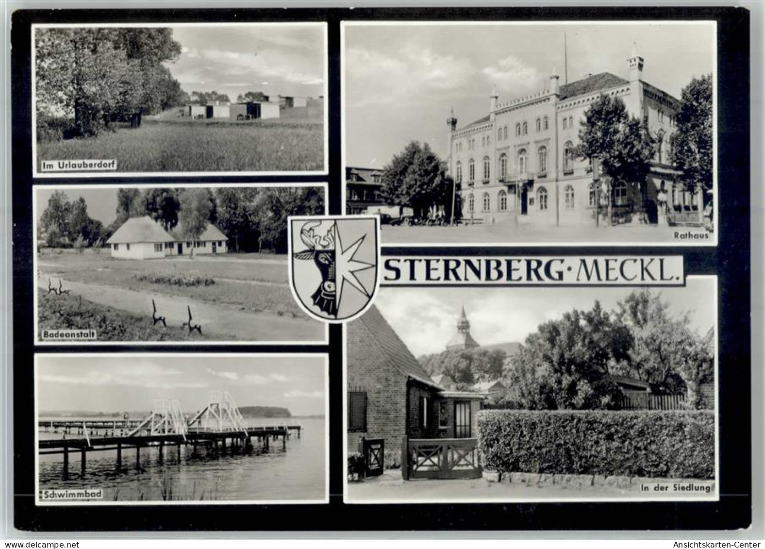 51812305 - Sternberg , Meckl - Andere & Zonder Classificatie