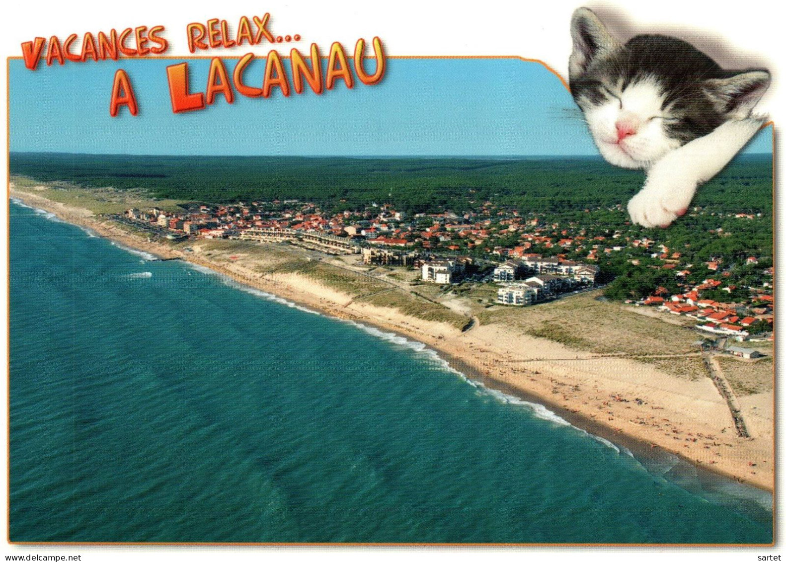 Lacanau - Vacances Relax Avec Chat - Other & Unclassified
