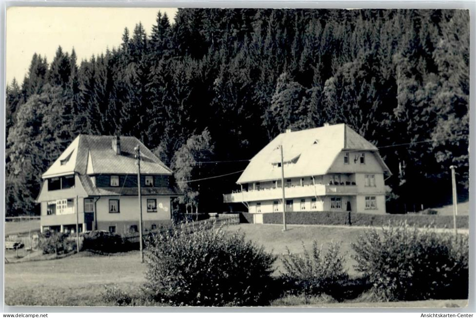 50976305 - Hinterzarten - Hinterzarten