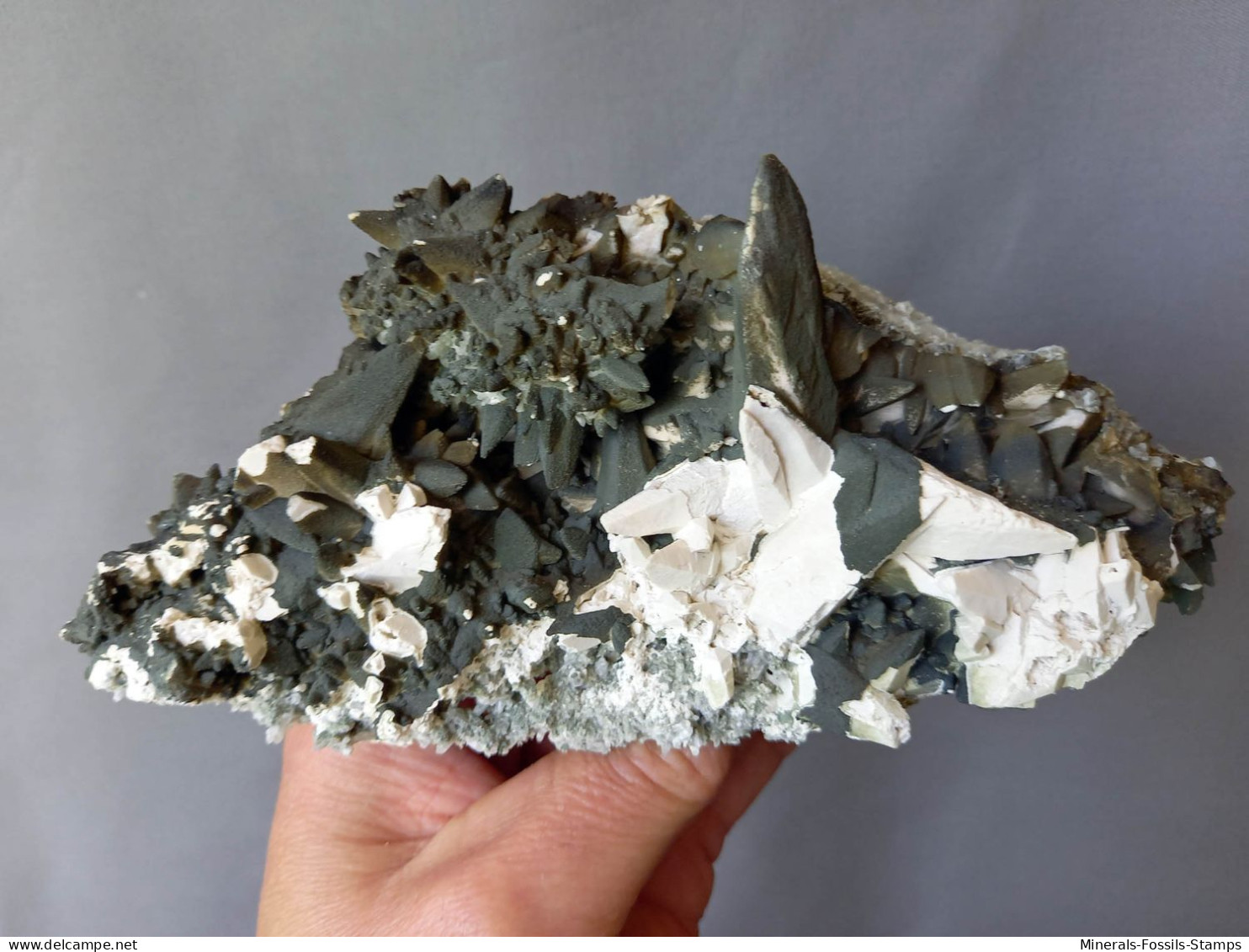 #M61 Schöne Und Ungewöhnlicher CALCIT Kristalle (Dalnegorsk, Primorskiy Kray, Russland) - Minerales