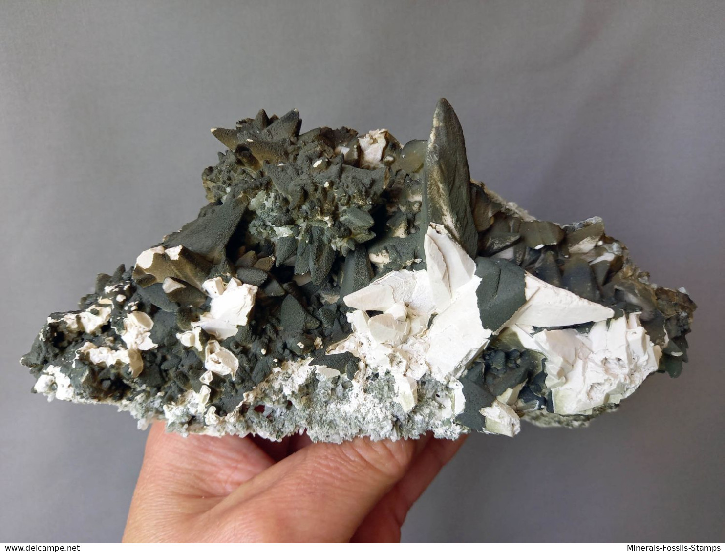 #M61 Schöne Und Ungewöhnlicher CALCIT Kristalle (Dalnegorsk, Primorskiy Kray, Russland) - Minerals