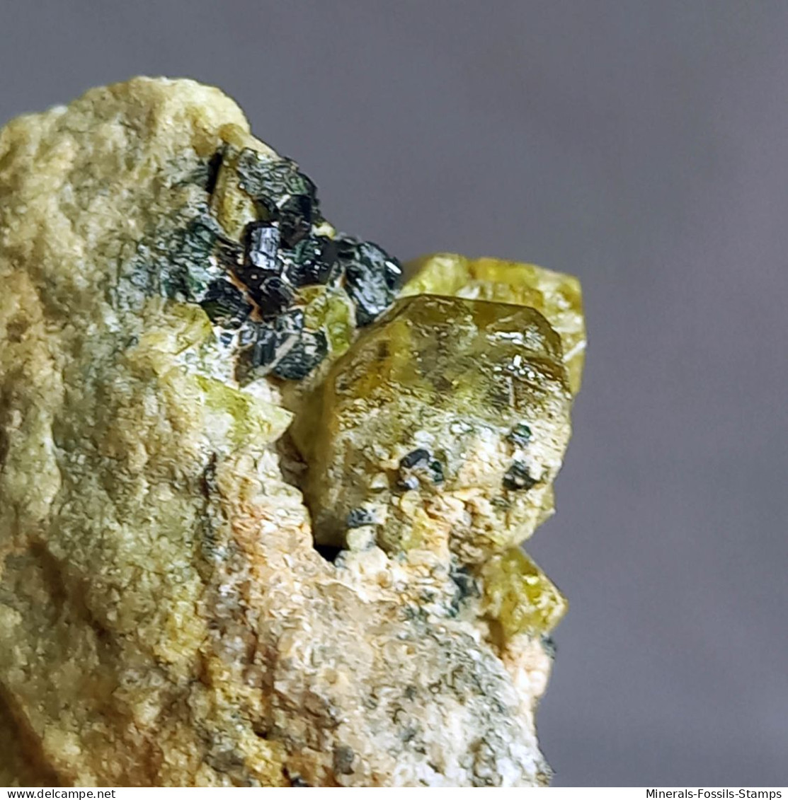 #N93 Seltene XANTHOPHYLLIT Clintonit, Fassait XX (Lago Della Vacca, Breno, Brescia, Lombardei, Italien) - Mineralen