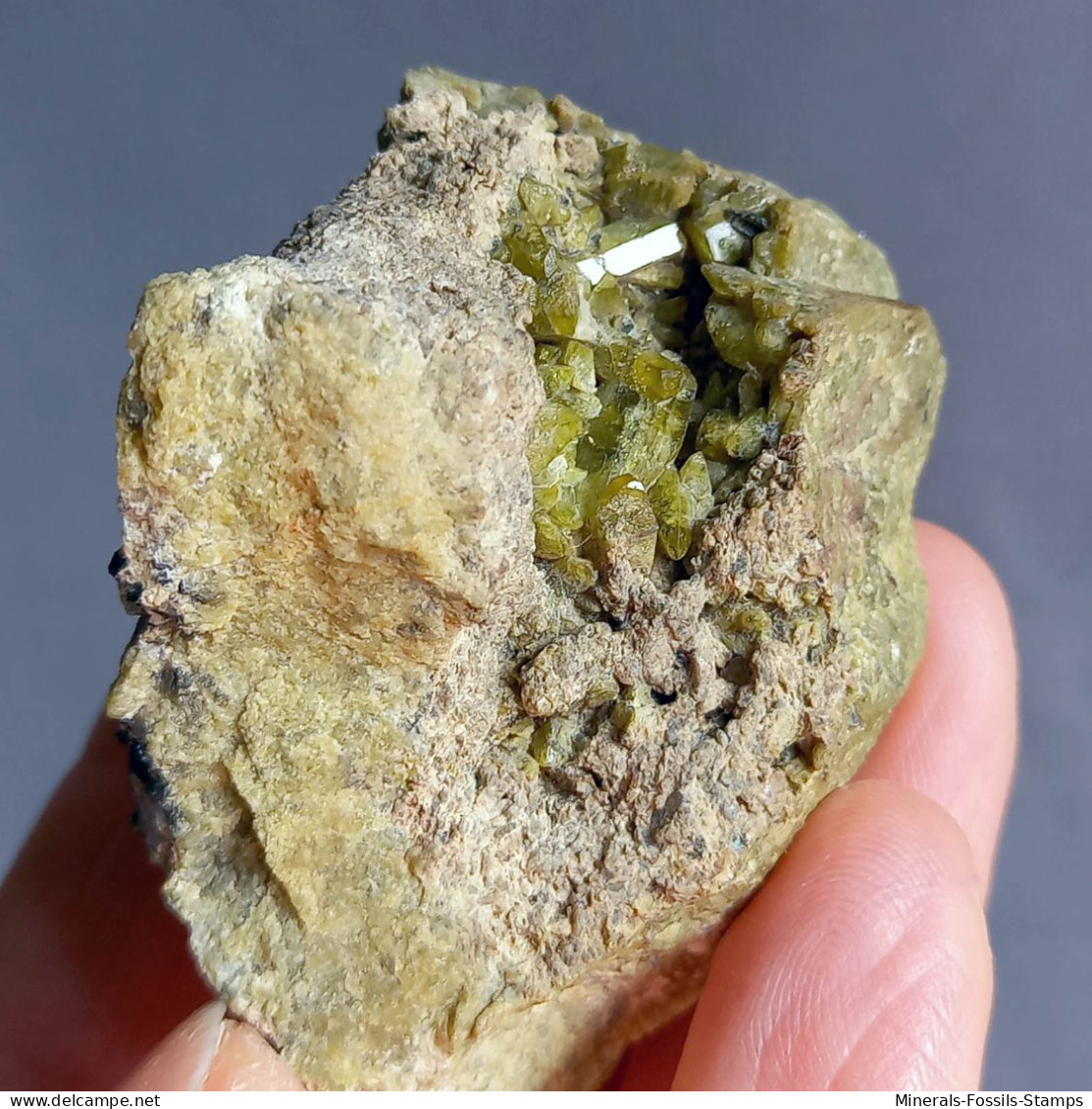 #N94 FASSAIT Kristalle (Lago Della Vacca, Cornone Di Blumone, Breno, Provinz Brescia, Lombardei, Italien) - Minerales