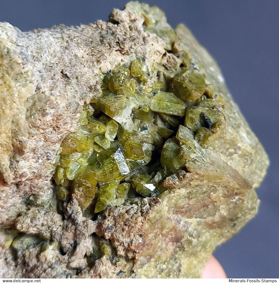 #N94 FASSAIT Kristalle (Lago Della Vacca, Cornone Di Blumone, Breno, Provinz Brescia, Lombardei, Italien) - Minerales