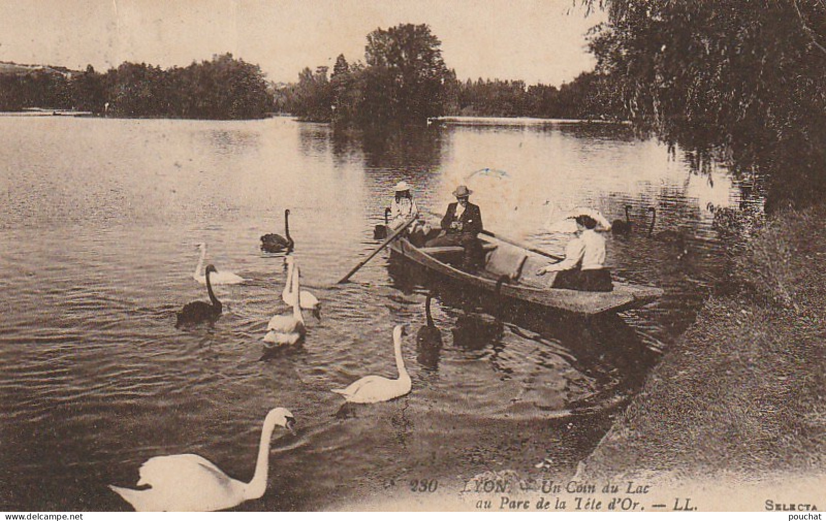 IN 9 - (69)  LYON -  UN COIN DU LAC AU PARC DE LA TETE D'OR - BARQUE AVEC CANOTEURS - CYGNES  - 2 SCANS  - Lyon 6