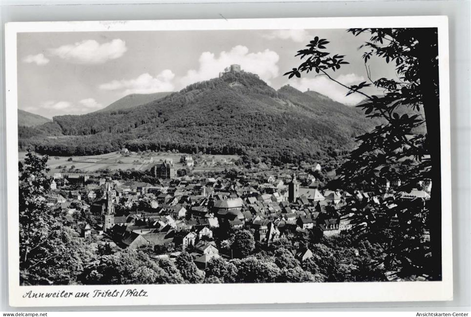 51366405 - Annweiler Am Trifels - Autres & Non Classés