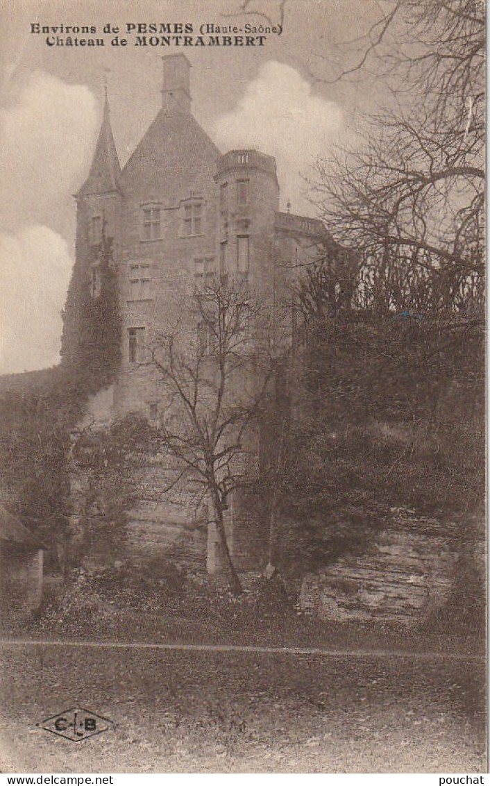 IN 10 - (70)  PESMES  -  CHATEAU DE MONTRAMBERT - 2 SCANS - Other & Unclassified