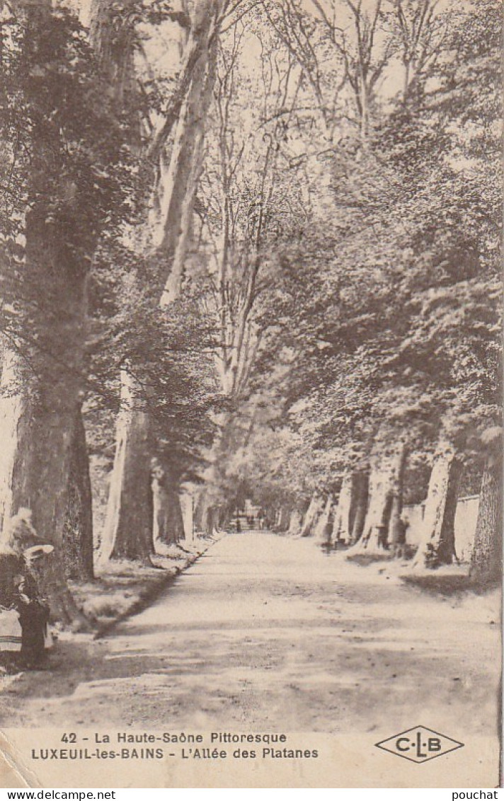 IN 10 - (70)  LUXEUIL LES BAINS  -  L'ALLEE DES PLATANES  - 2 SCANS - Luxeuil Les Bains