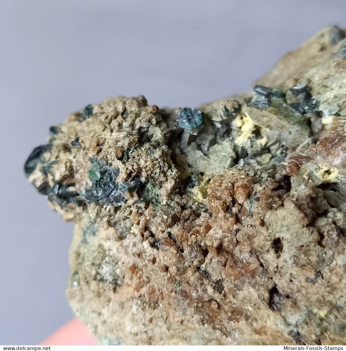 #N95 Seltene XANTHOPHYLLIT Clintonit, Fassait XX (Lago Della Vacca, Breno, Brescia, Lombardei, Italien) - Minerales