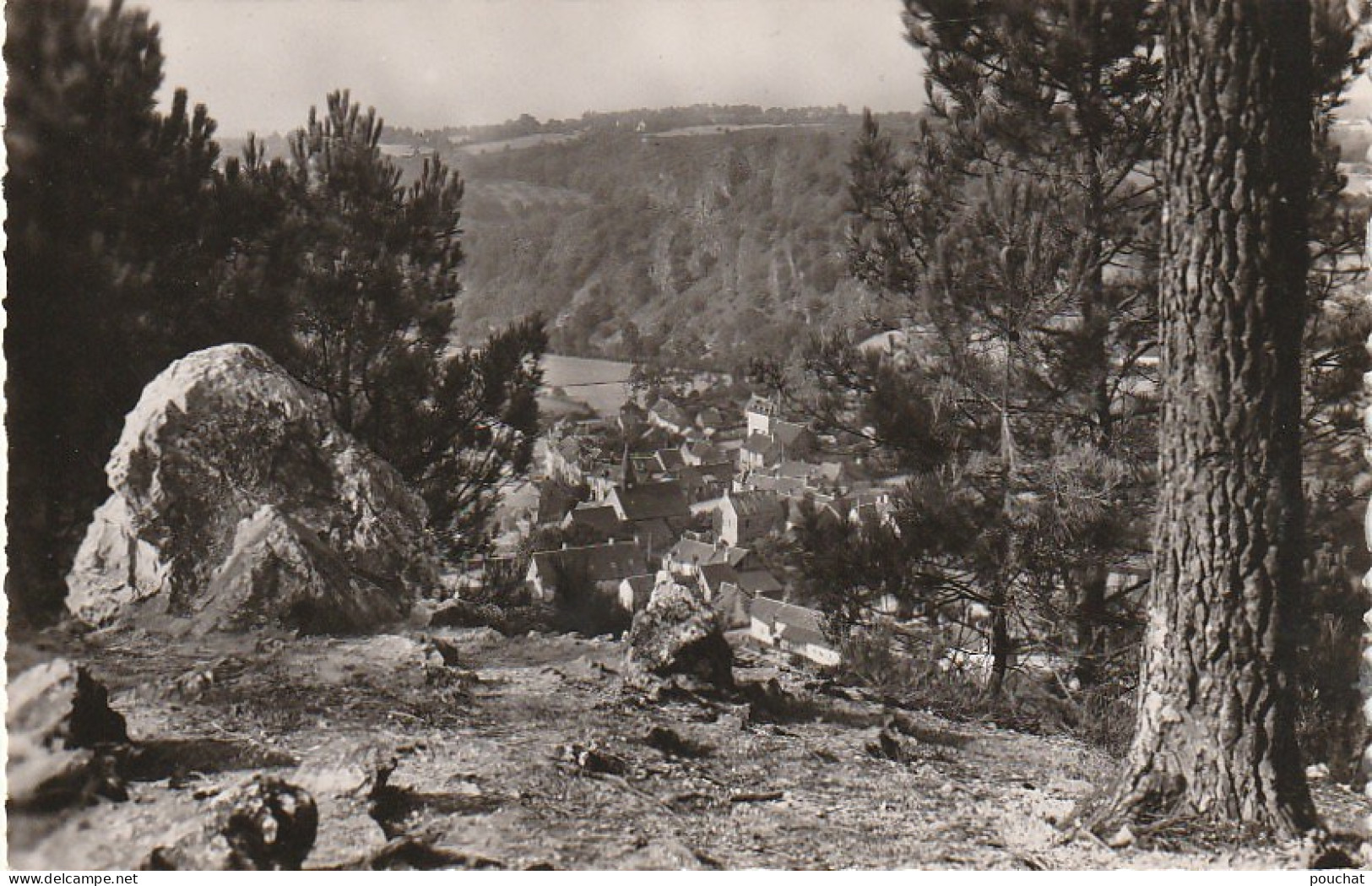 IN 14 -(72) SAINT LEONARD DES BOIS  - VUE DU BOURG A TRAVERS LES PINS - 2 SCANS - Saint Leonard Des Bois