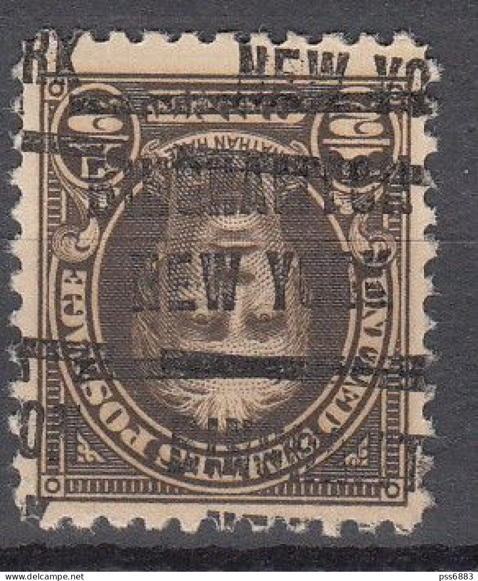 USA LOCAL Precancel/Vorausentwertung/Preo From NEW YORK - Binghampton - A DOUBLE - Type: 205 - Vorausentwertungen