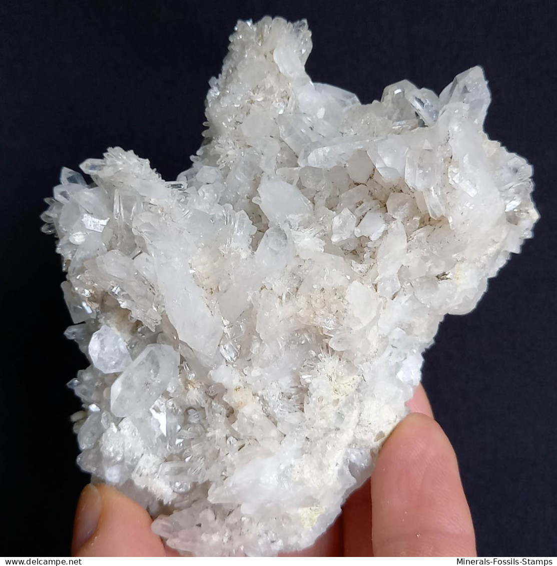 #O66 Schöne QUARZ XX (Castagnola, Val D'Aveto, Piacenza, Italien) - Minerales