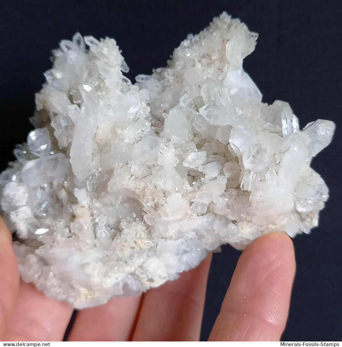 #O66 Schöne QUARZ XX (Castagnola, Val D'Aveto, Piacenza, Italien) - Mineralen